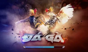 Đá Gà 3D Tại JBO