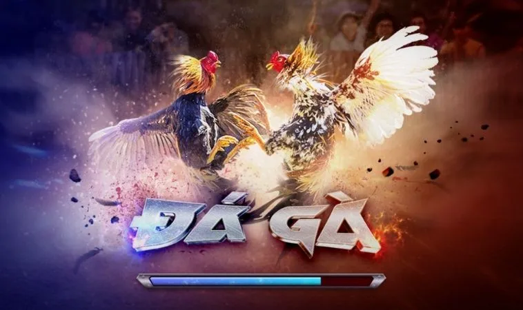 Đá Gà 3D Tại JBO