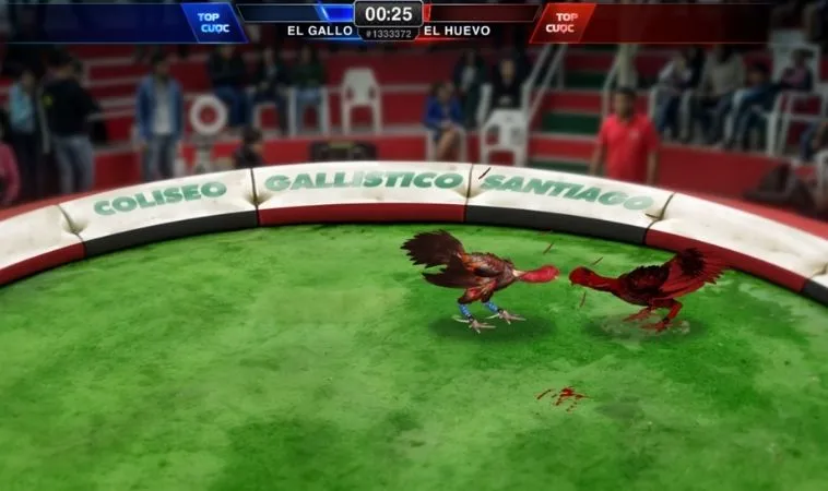 Giao diện chơi Đá Gà 3D Tại JBO