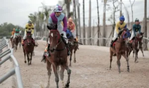 đua ngựa JBO