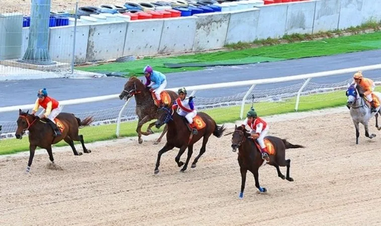 Giải Mã Kèo Cá Cược Đua Ngựa JBO Để Rinh Thưởng Lớn Mỗi Ngày 2 Cần tìm hiểu kỹ về bộ môn đua ngựa JBO trước khi cá cược